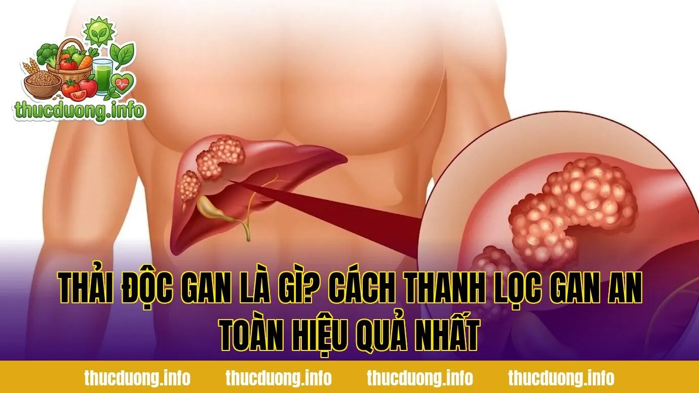 Thải Độc Gan Là Gì? Cách Thanh Lọc Gan An Toàn Hiệu Quả Nhất