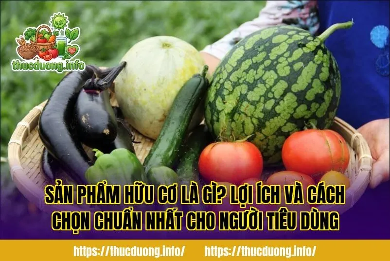 Sản Phẩm Hữu Cơ Là Gì? Lợi Ích Và Cách Chọn Chuẩn Nhất Cho Người Tiêu Dùng