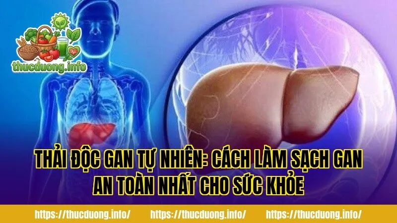 Thải Độc Gan Tự Nhiên: Cách Làm Sạch Gan An Toàn Nhất Cho Sức Khỏe