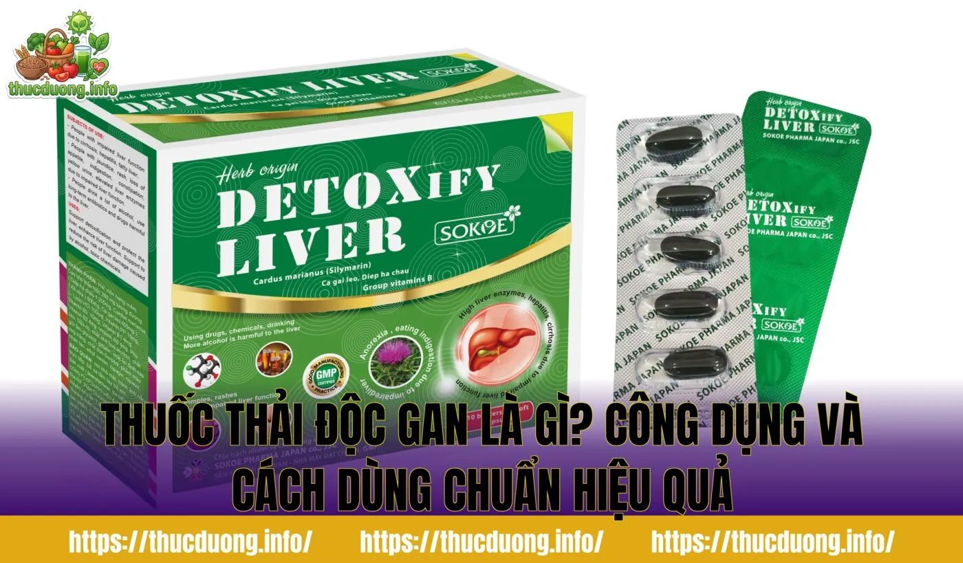 Thuốc Thải Độc Gan Là Gì? Công Dụng Và Cách Dùng Chuẩn Hiệu Quả
