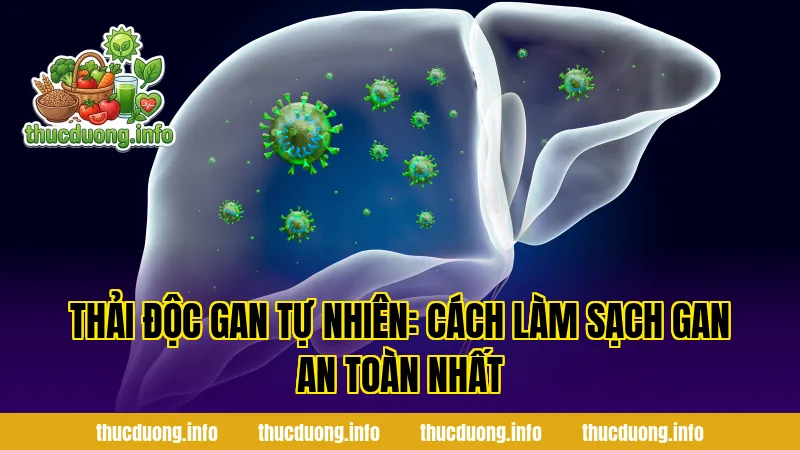 Thải Độc Gan Tự Nhiên: Cách Làm Sạch Gan An Toàn Nhất