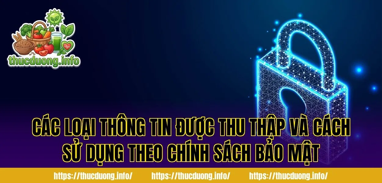 Các loại thông tin được thu thập và cách sử dụng theo chính sách bảo mật