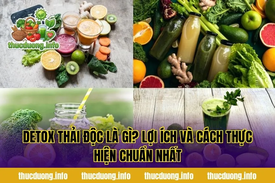 Detox Thải Độc Là Gì? Lợi Ích Và Cách Thực Hiện Chuẩn Nhất