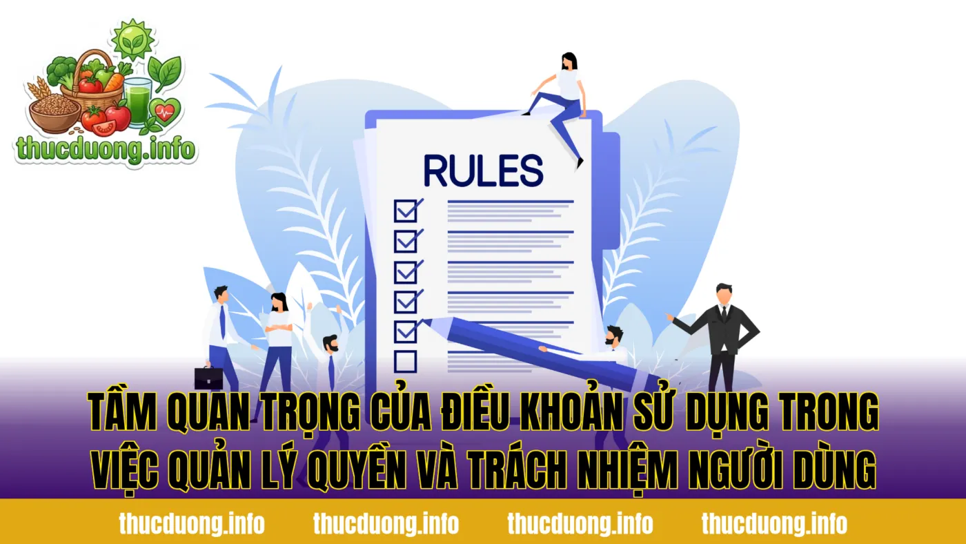 Tầm quan trọng của điều khoản sử dụng trong việc quản lý quyền và trách nhiệm người dùng