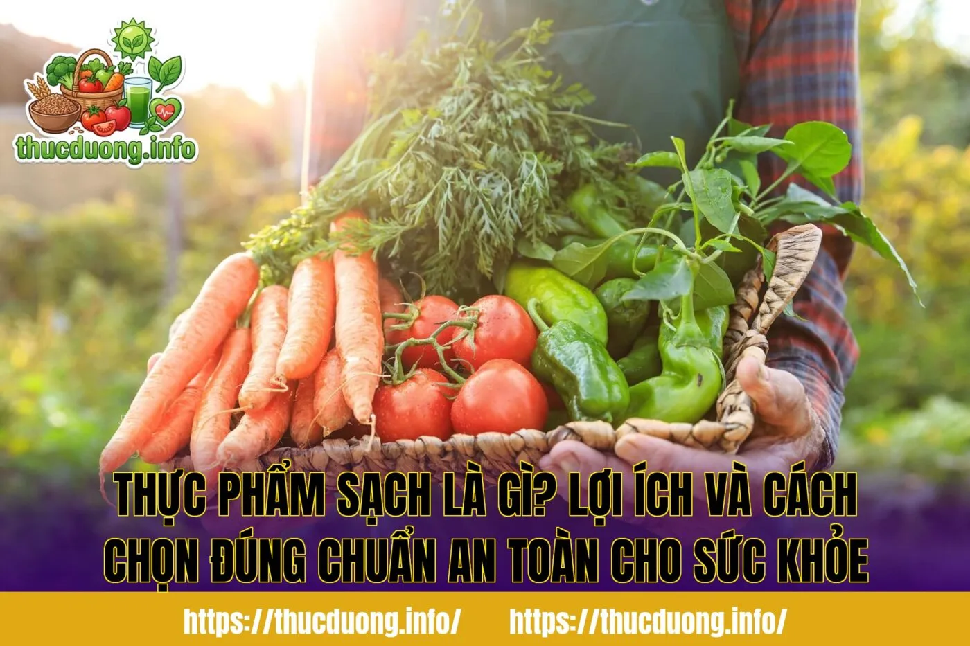 Thực Phẩm Sạch Là Gì? Lợi Ích Và Cách Chọn Đúng Chuẩn An Toàn Cho Sức Khỏe
