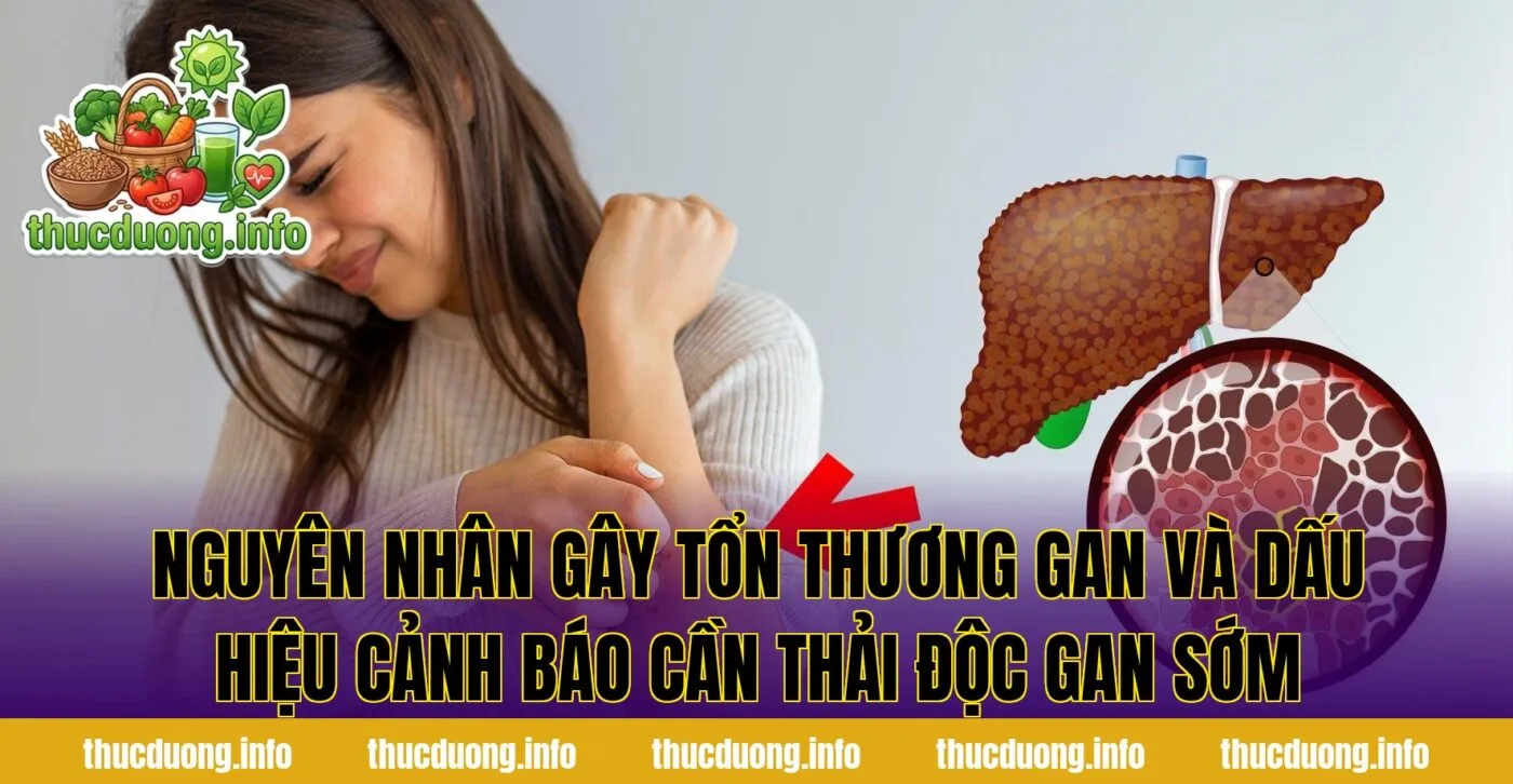 Nguyên nhân gây tổn thương gan và dấu hiệu cảnh báo cần thải độc gan sớm
