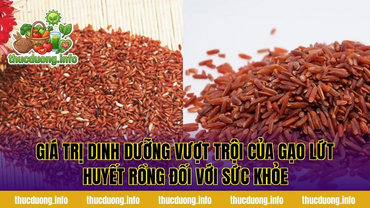 Giá trị dinh dưỡng vượt trội của gạo lứt huyết rồng đối với sức khỏe