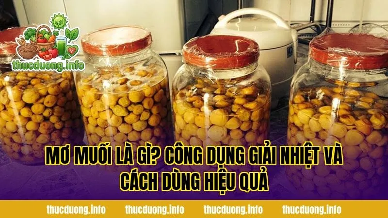 Mơ Muối Là Gì? Công Dụng Giải Nhiệt Và Cách Dùng Hiệu Quả
