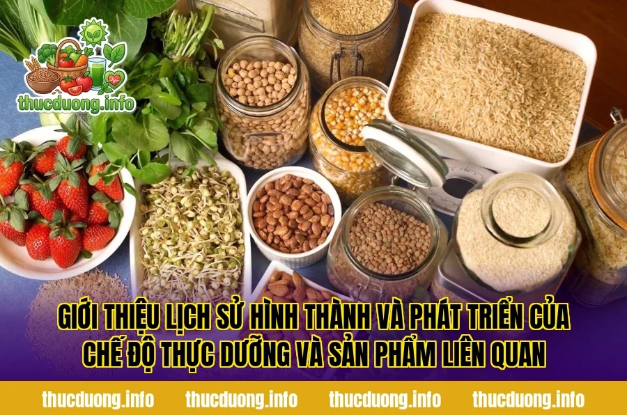 Giới thiệu lịch sử hình thành và phát triển của chế độ thực dưỡng và sản phẩm liên quan