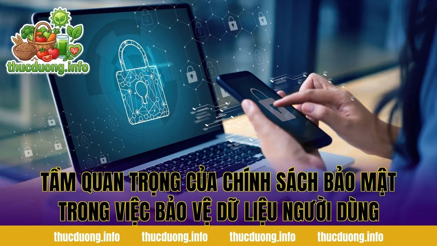 Tầm quan trọng của chính sách bảo mật trong việc bảo vệ dữ liệu người dùng
