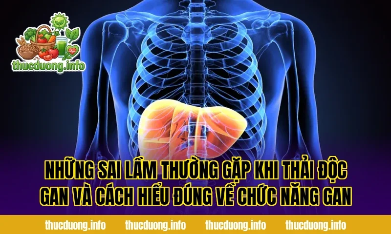 Những sai lầm thường gặp khi thải độc gan và cách hiểu đúng về chức năng gan