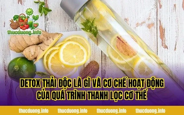 Detox thải độc là gì và cơ chế hoạt động của quá trình thanh lọc cơ thể