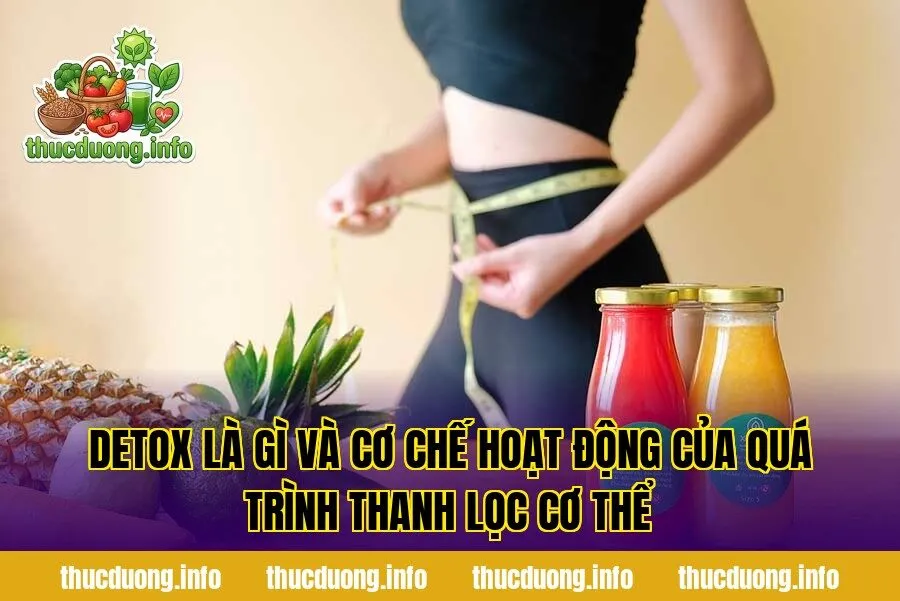 Detox là gì và cơ chế hoạt động của quá trình thanh lọc cơ thể