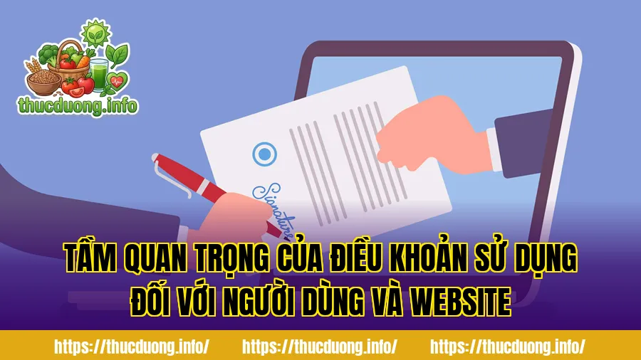 Tầm quan trọng của điều khoản sử dụng đối với người dùng và website