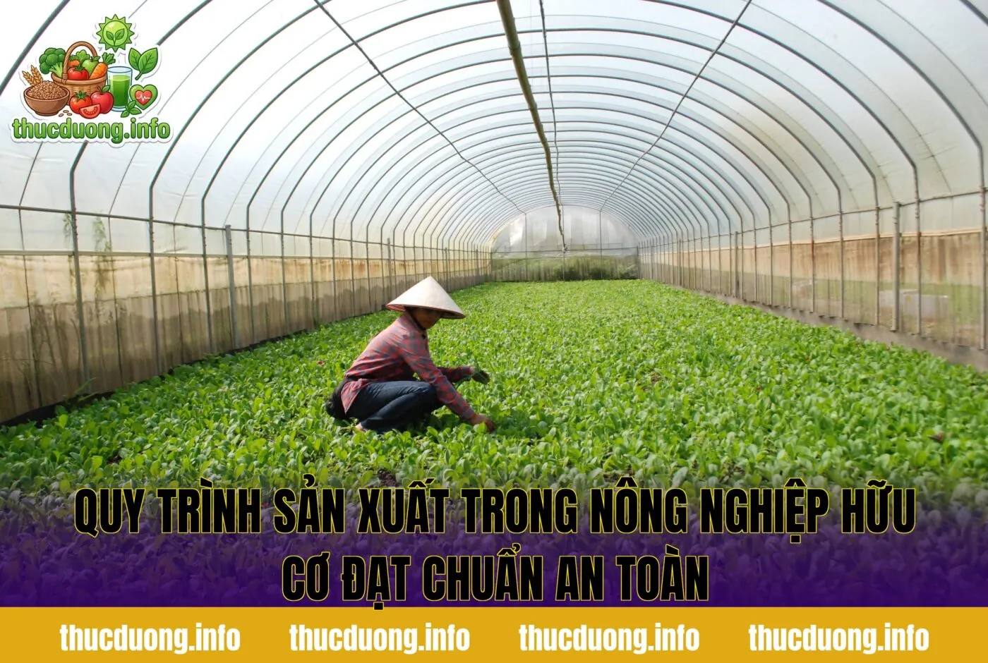 Quy trình sản xuất trong nông nghiệp hữu cơ đạt chuẩn an toàn