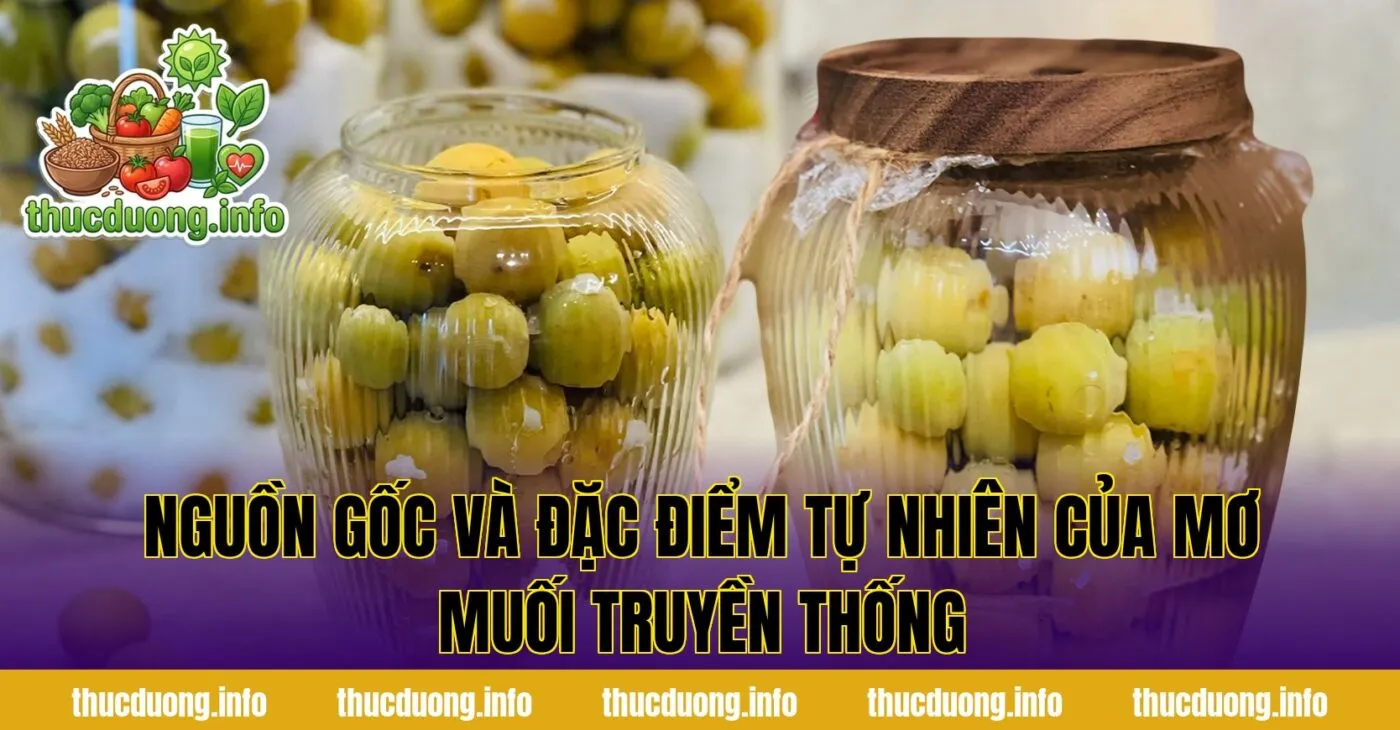 Nguồn gốc và đặc điểm tự nhiên của mơ muối truyền thống