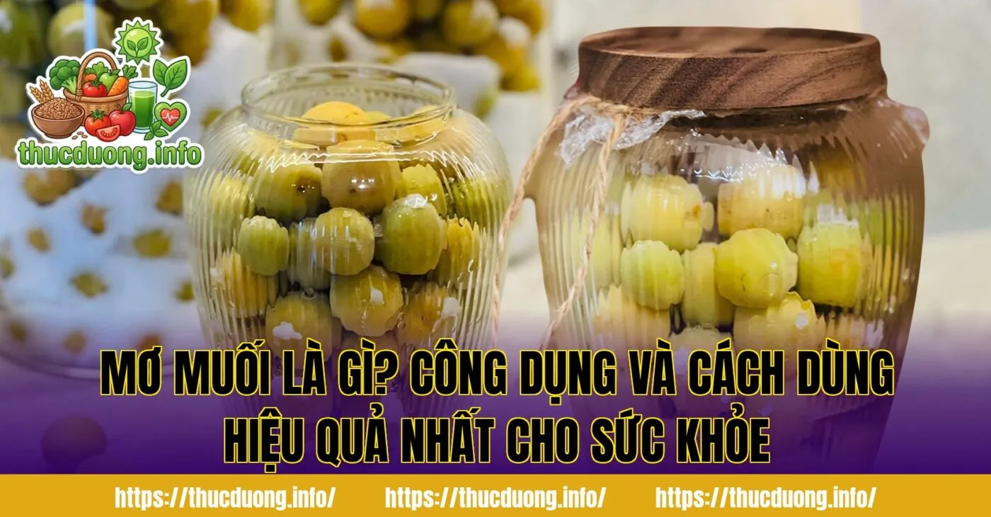 Mơ Muối Là Gì? Công Dụng Và Cách Dùng Hiệu Quả Nhất Cho Sức Khỏe