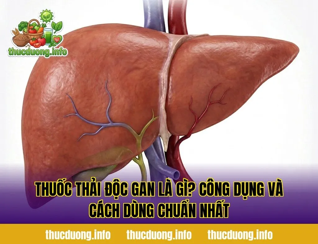 Thuốc Thải Độc Gan Là Gì? Công Dụng Và Cách Dùng Chuẩn Nhất