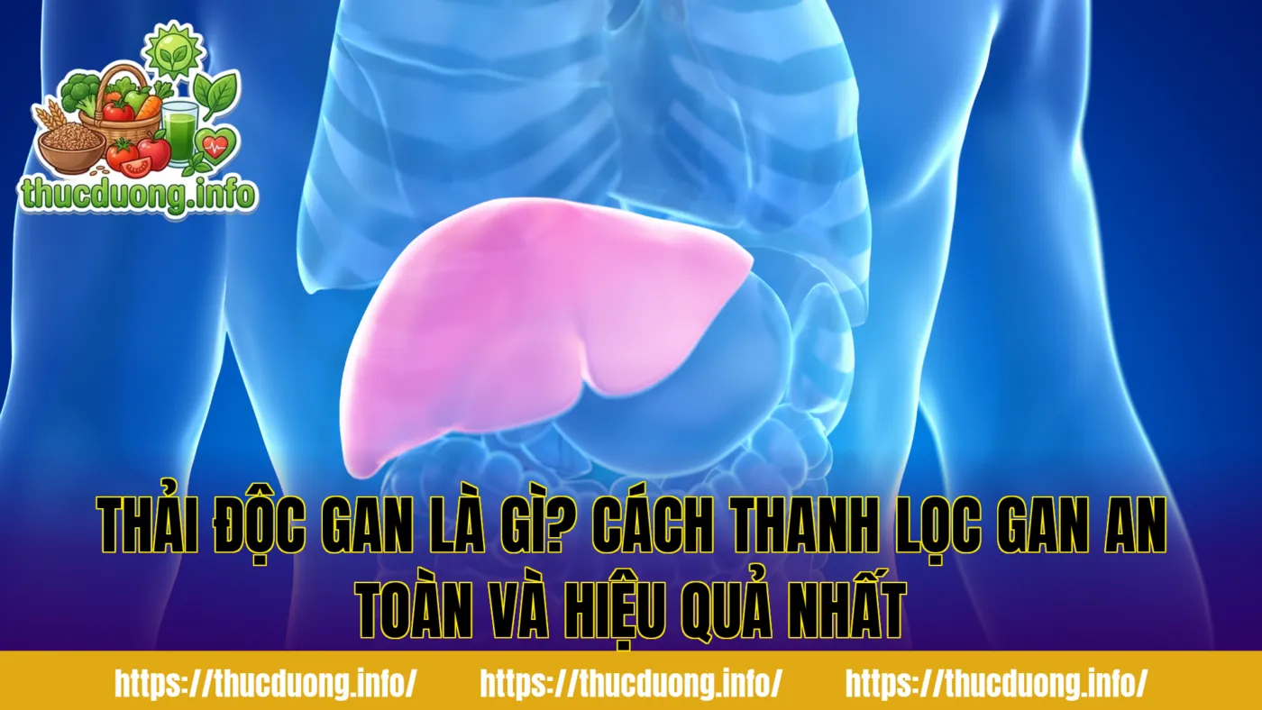 Thải Độc Gan Là Gì? Cách Thanh Lọc Gan An Toàn Và Hiệu Quả Nhất