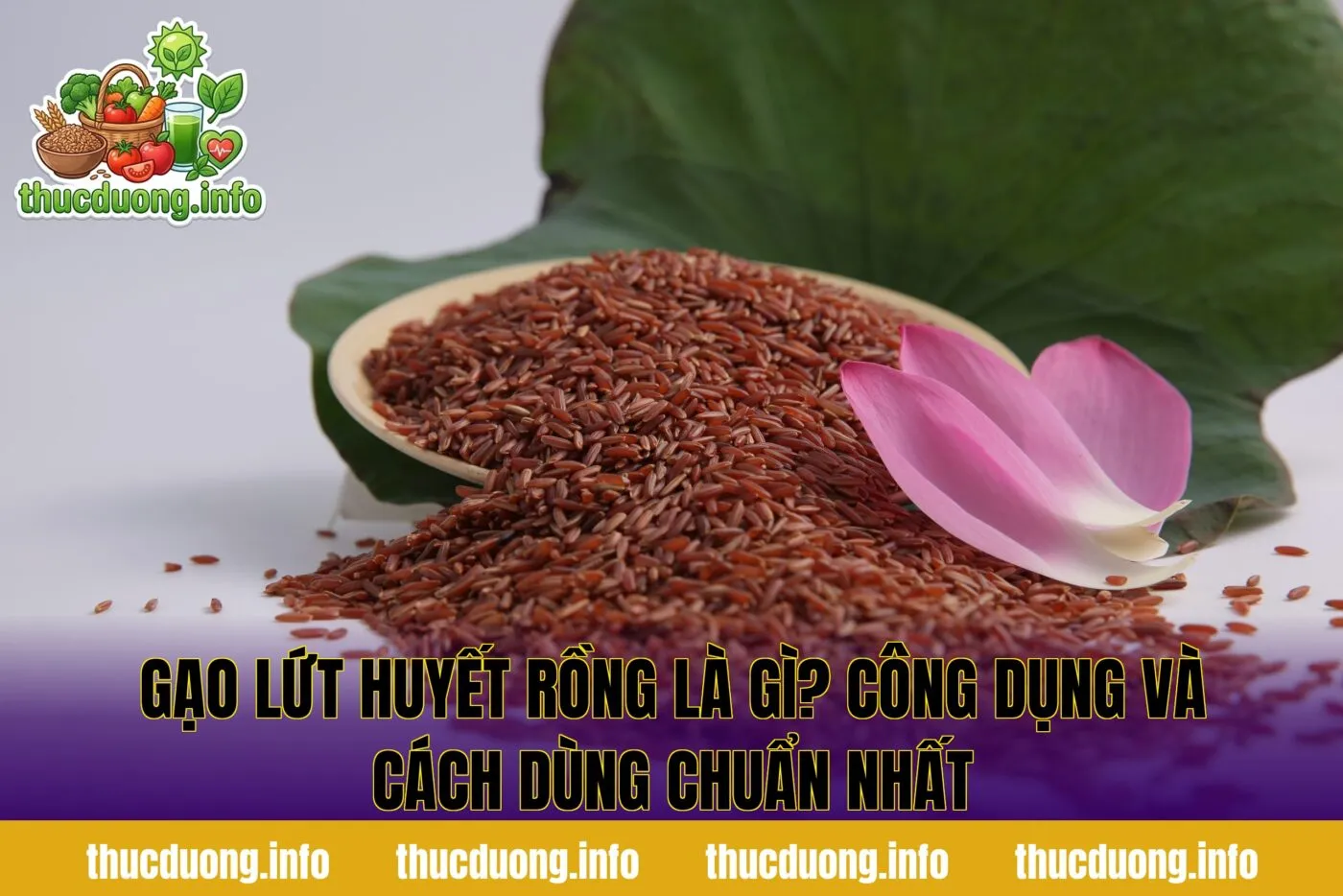Gạo Lứt Huyết Rồng Là Gì? Công Dụng Và Cách Dùng Chuẩn Nhất