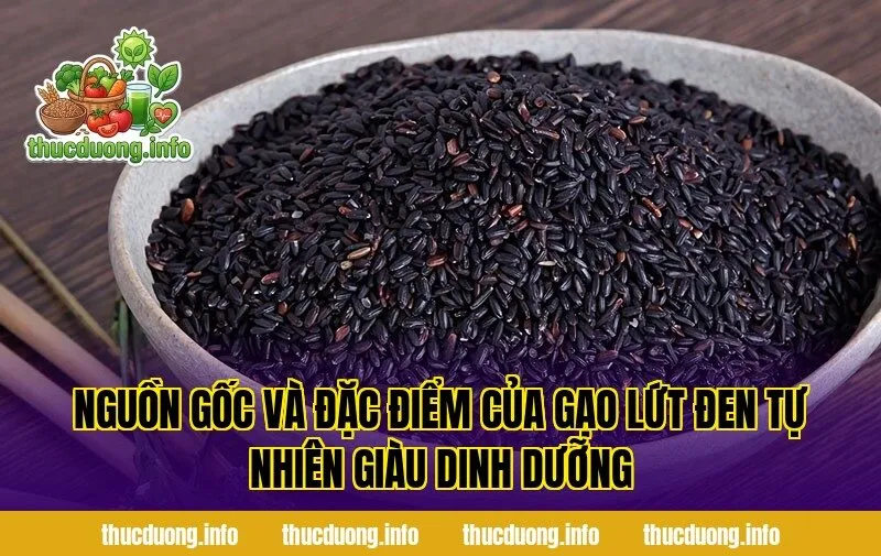 Nguồn gốc và đặc điểm của gạo lứt đen tự nhiên giàu dinh dưỡng