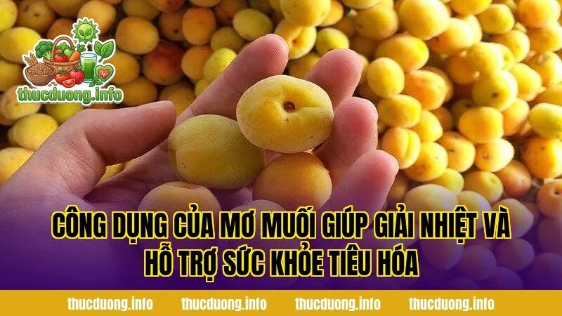 Công dụng của mơ muối giúp giải nhiệt và hỗ trợ sức khỏe tiêu hóa