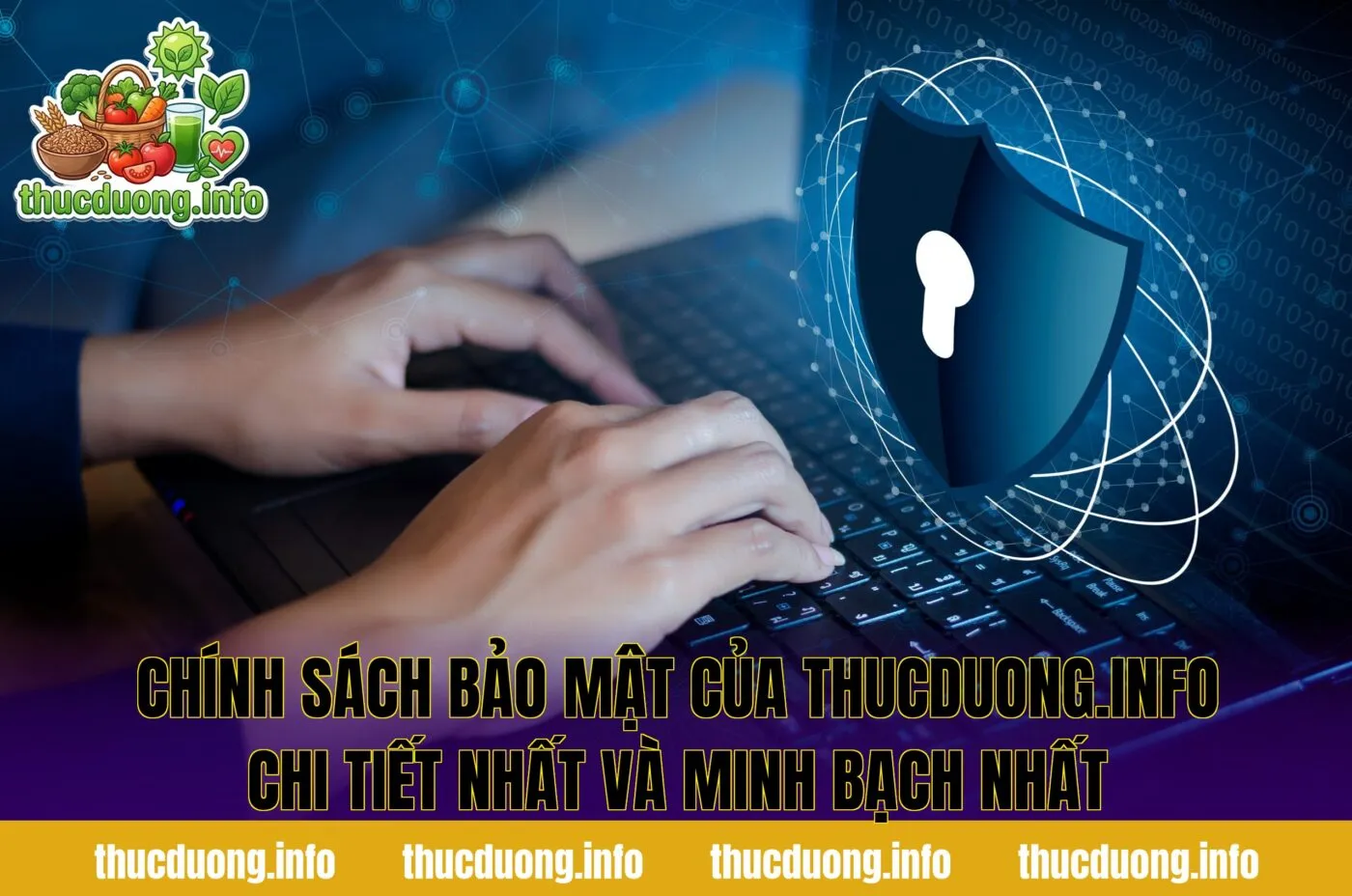 Chính Sách Bảo Mật Của Thucduong.info Chi Tiết Nhất Và Minh Bạch Nhất