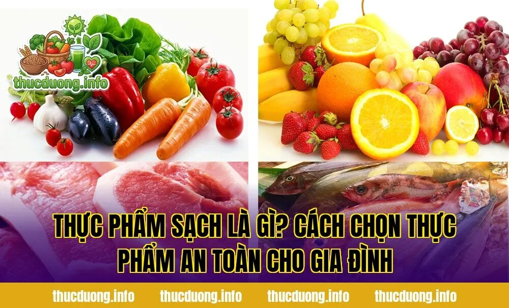 Thực Phẩm Sạch Là Gì? Cách Chọn Thực Phẩm An Toàn Cho Gia Đình