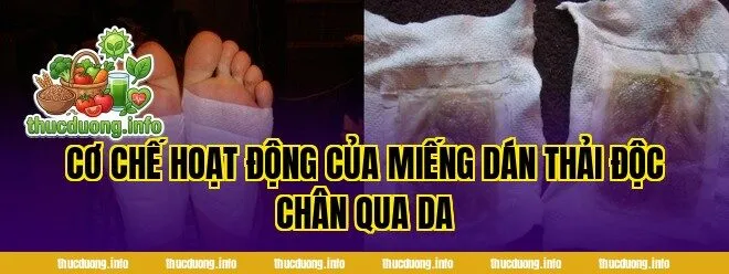 Cơ chế hoạt động của miếng dán thải độc chân qua da
