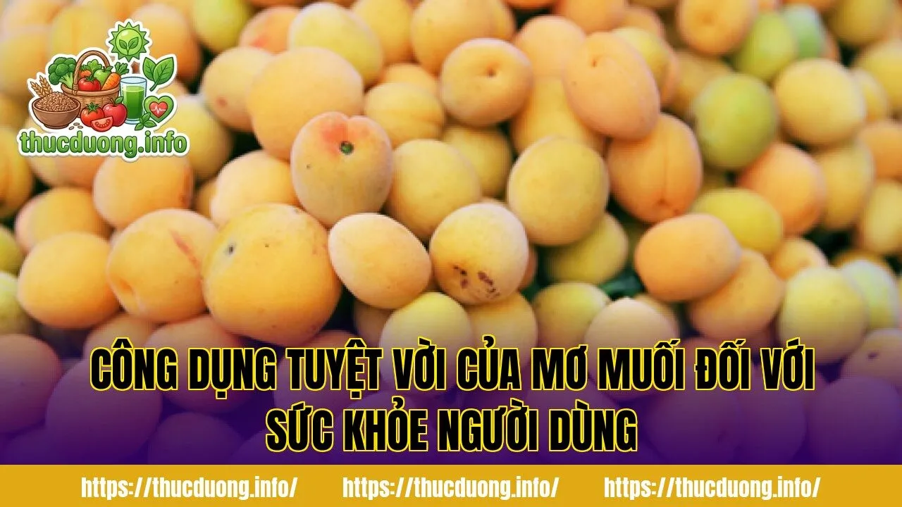 Công dụng tuyệt vời của mơ muối đối với sức khỏe người dùng
