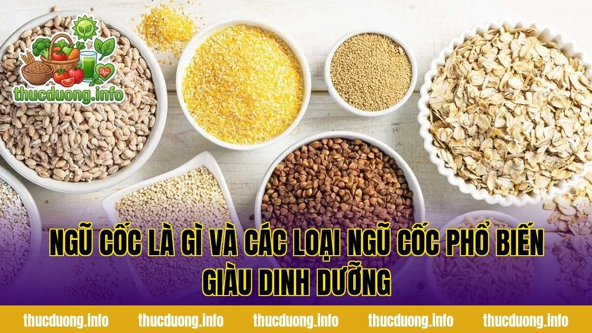 Ngũ cốc là gì và các loại ngũ cốc phổ biến giàu dinh dưỡng