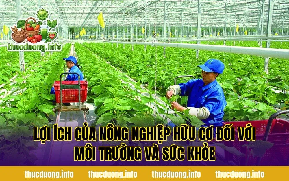 Lợi ích của nông nghiệp hữu cơ đối với môi trường và sức khỏe