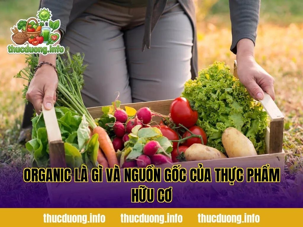 Organic là gì và nguồn gốc của thực phẩm hữu cơ
