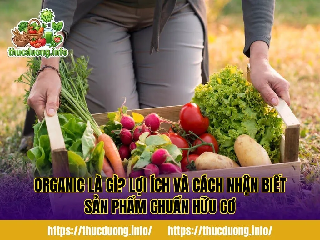 Organic Là Gì? Lợi Ích Và Cách Nhận Biết Sản Phẩm Chuẩn Hữu Cơ