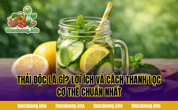 Thải Độc Là Gì? Lợi Ích Và Cách Thanh Lọc Cơ Thể Chuẩn Nhất