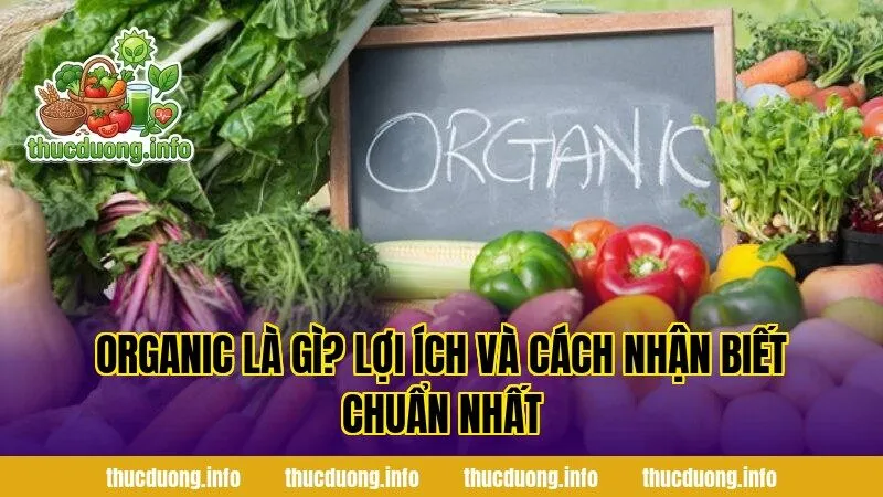 Organic Là Gì? Lợi Ích Và Cách Nhận Biết Chuẩn Nhất
