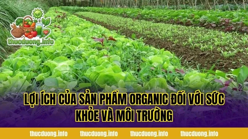 Lợi ích của sản phẩm organic đối với sức khỏe và môi trường
