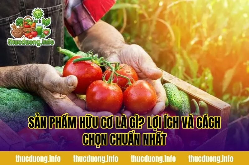 Sản Phẩm Hữu Cơ Là Gì? Lợi Ích Và Cách Chọn Chuẩn Nhất