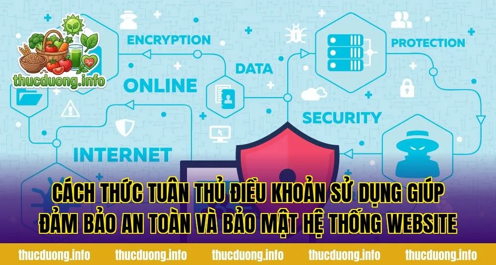 Cách thức tuân thủ điều khoản sử dụng giúp đảm bảo an toàn và bảo mật hệ thống website