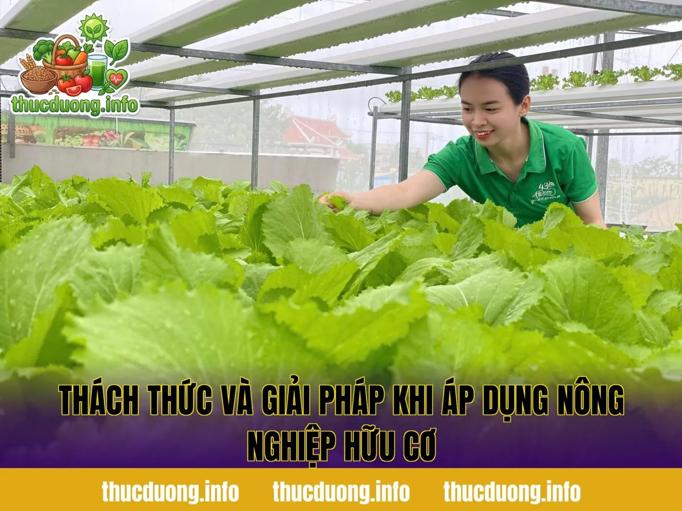 Thách thức và giải pháp khi áp dụng nông nghiệp hữu cơ